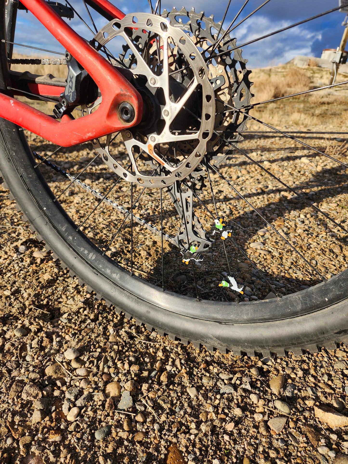Spoke Clip - Ducks