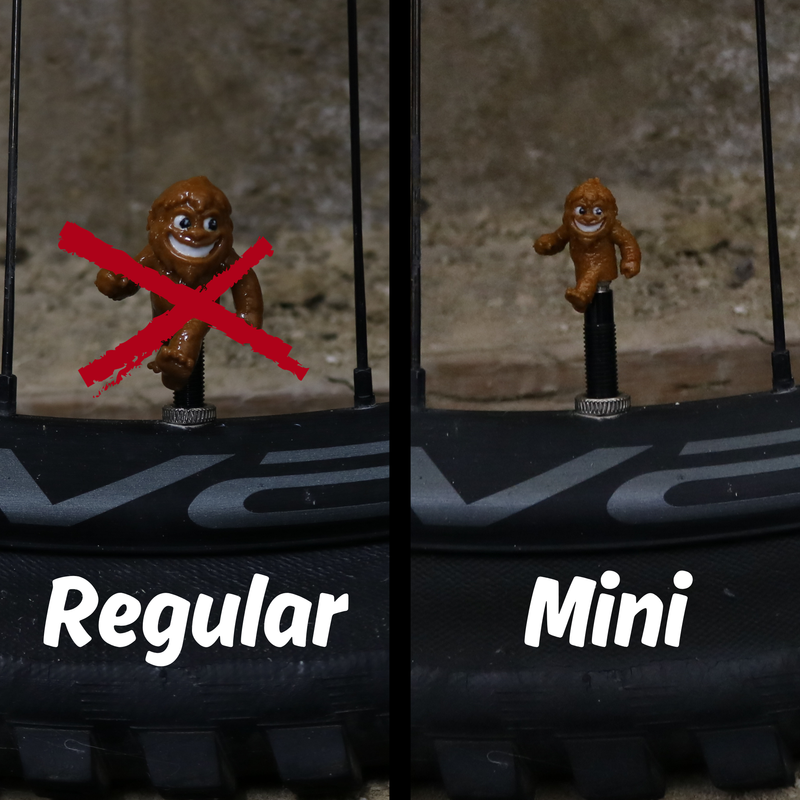 Mini Valve Caps