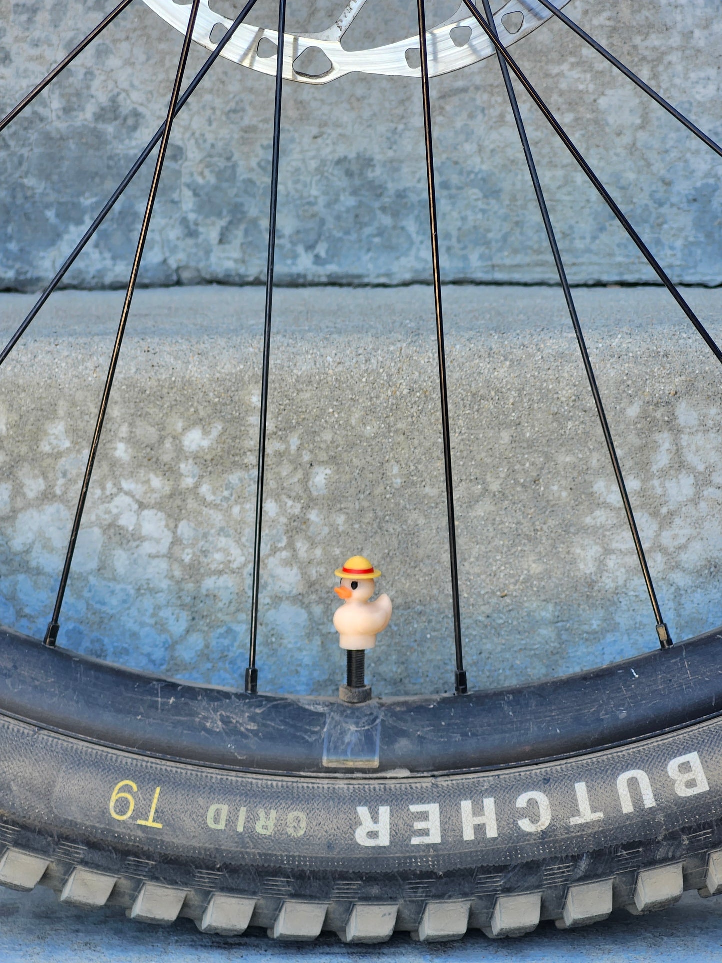 Valve Cap - Colored Ducks