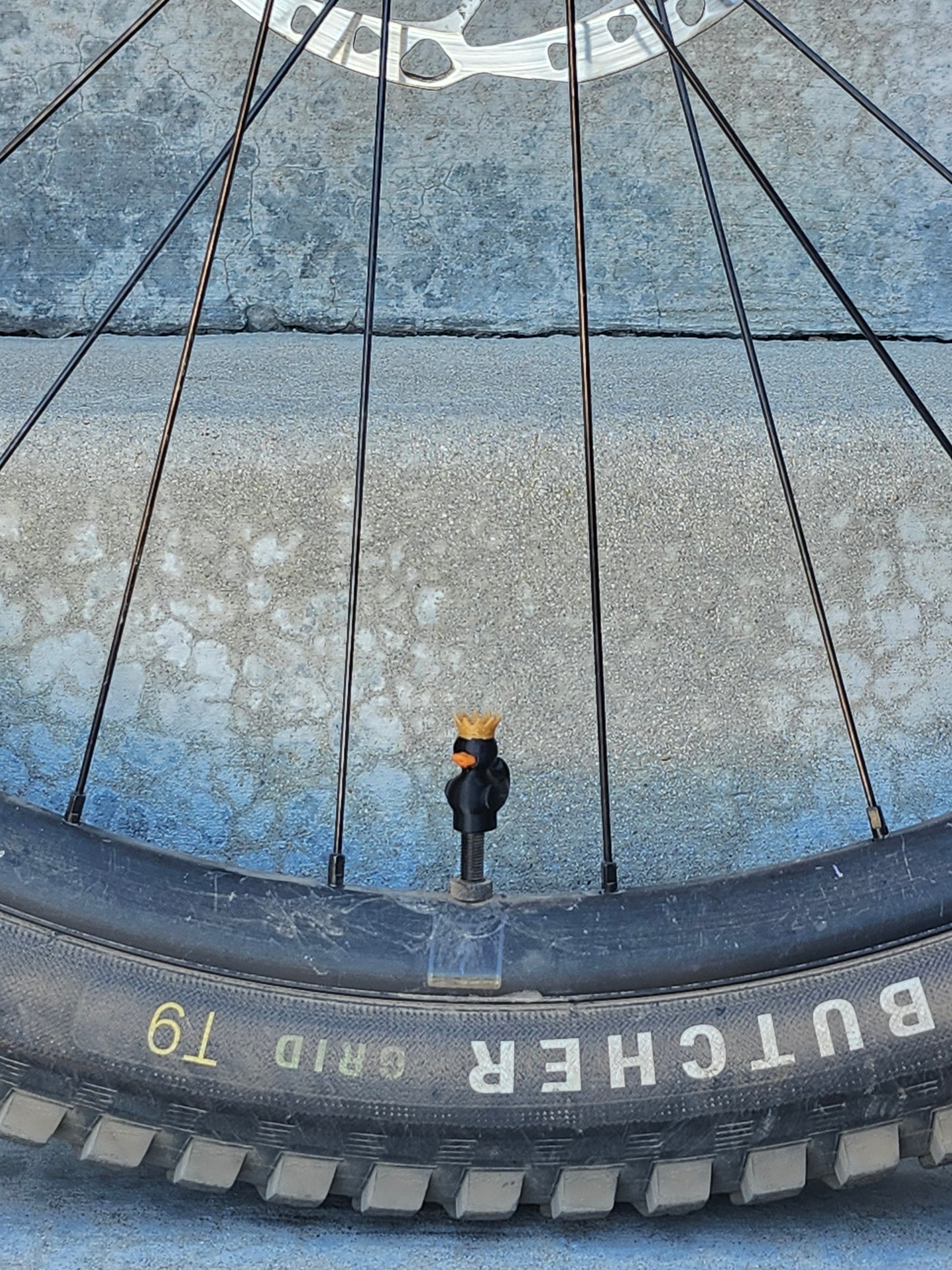 Valve Cap - Colored Ducks