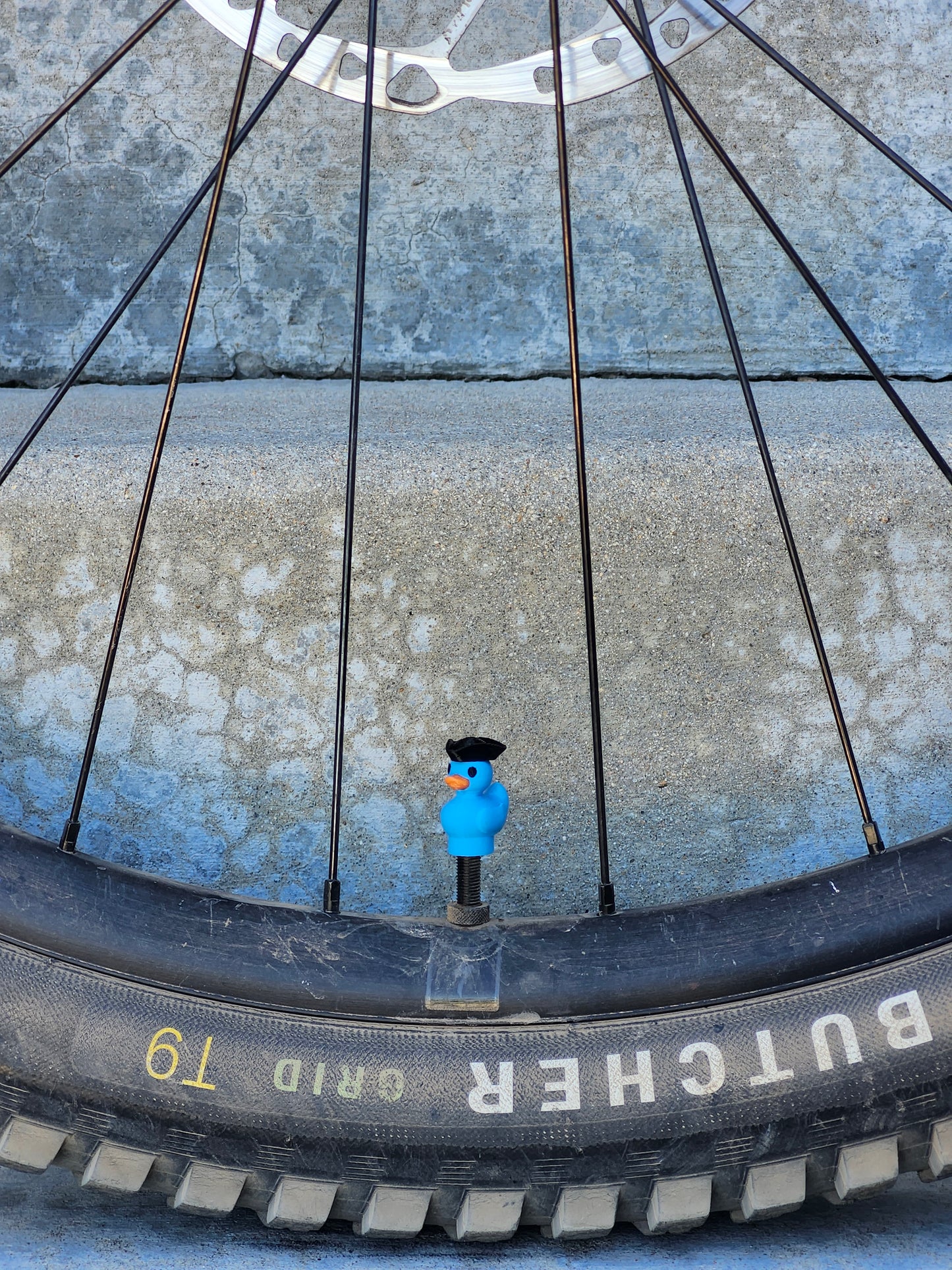Valve Cap - Colored Ducks