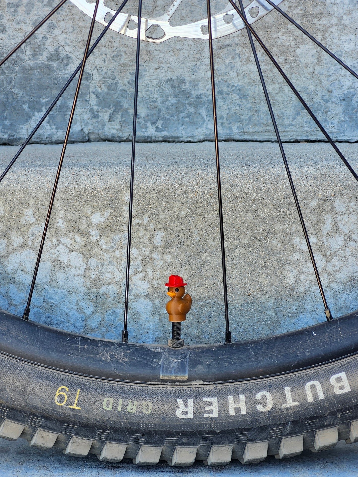 Valve Cap - Colored Ducks