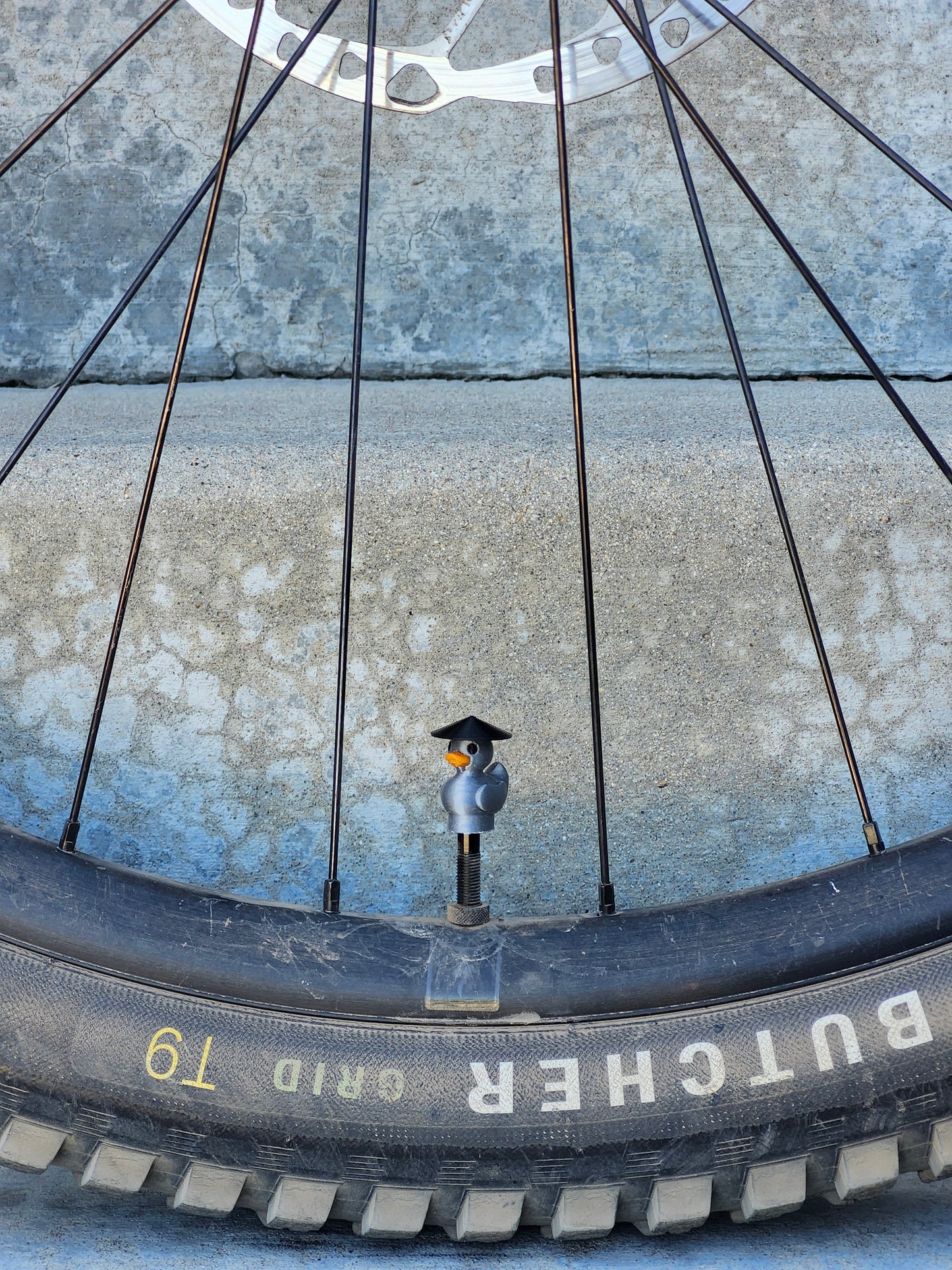 Valve Cap - Colored Ducks