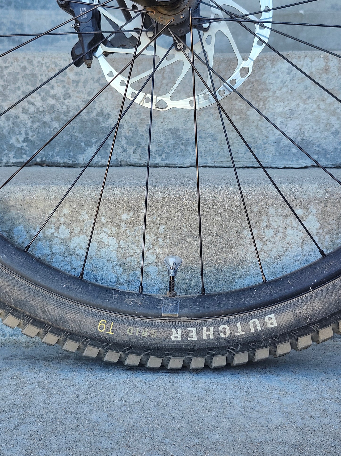 Valve Cap - Diamond