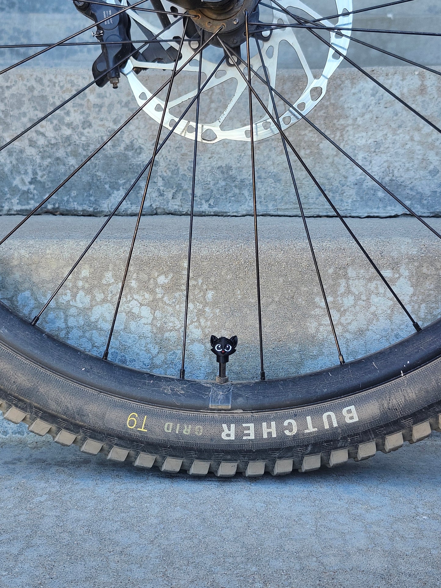 Valve Cap - Cat