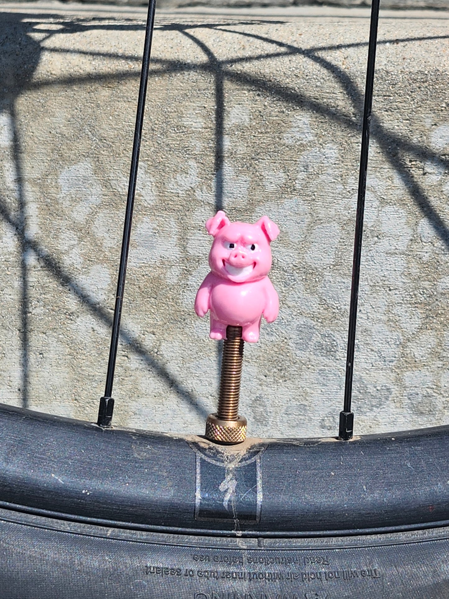 Premium Cap - Pig