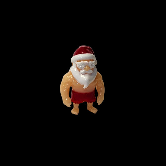 Premium Cap - Santa Cruise
