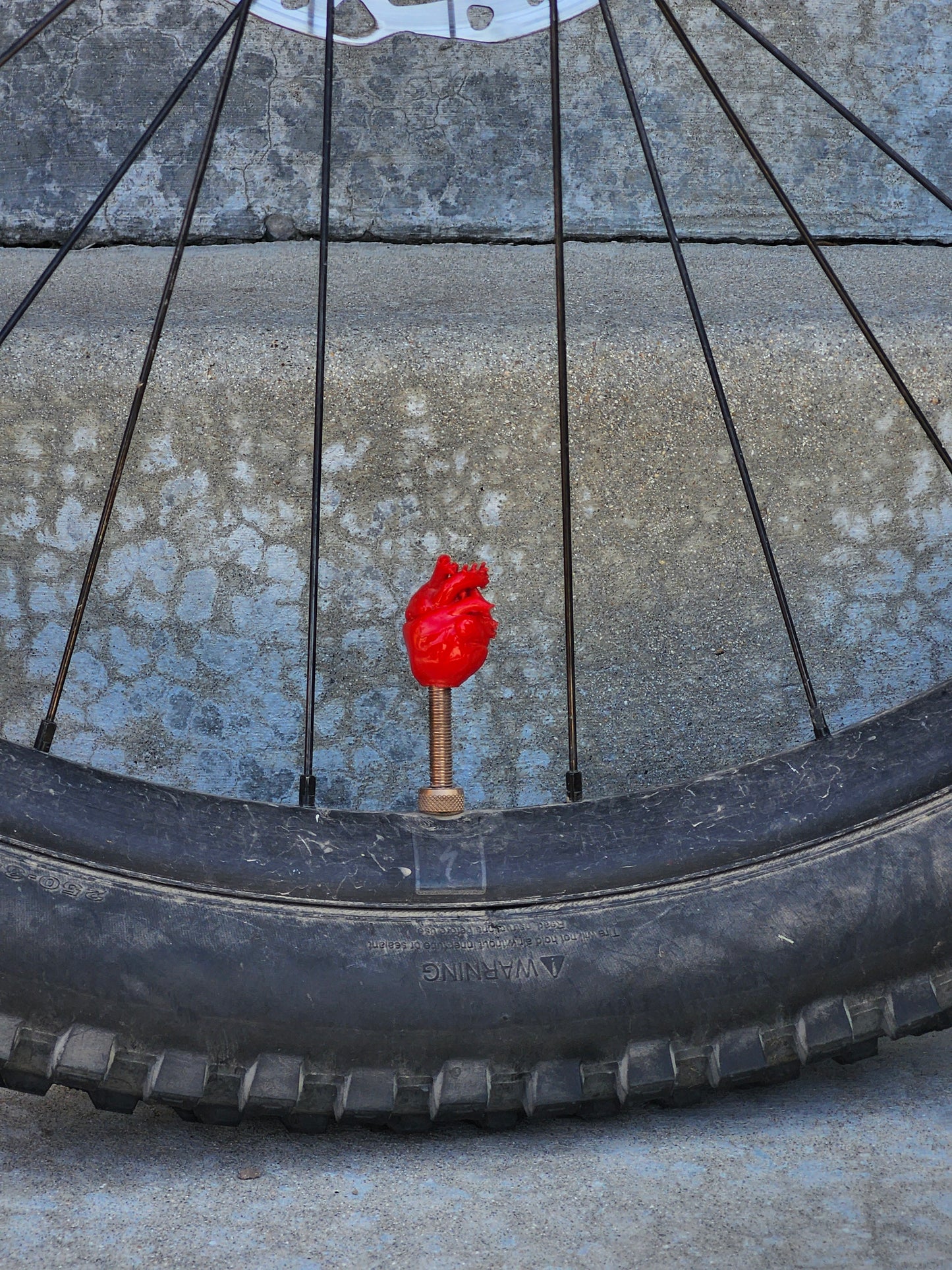 Valve Cap - Heart