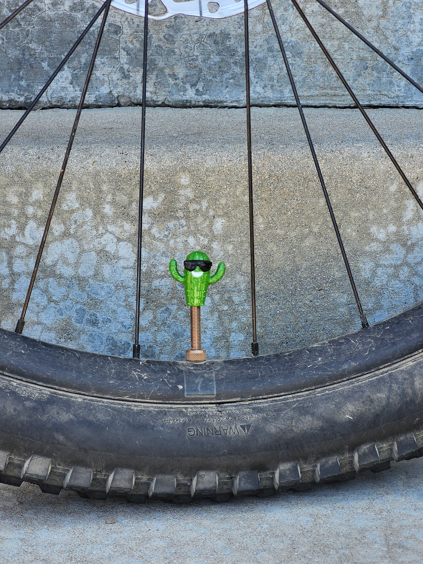 Premium Valve Cap - Cactus