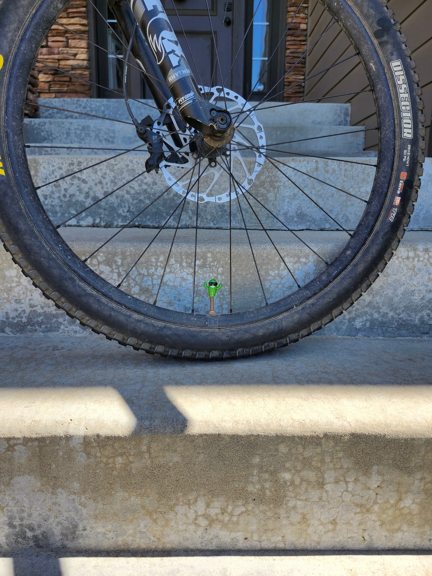 Premium Valve Cap - Cactus
