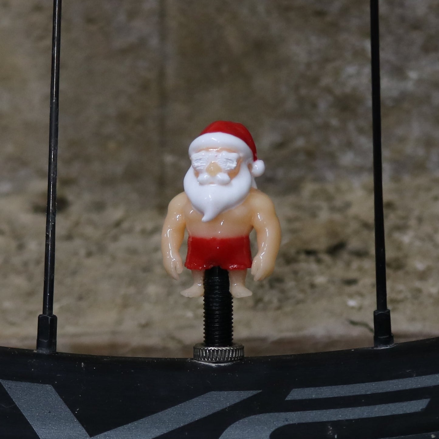 Premium Valve Cap - Santa Cruise