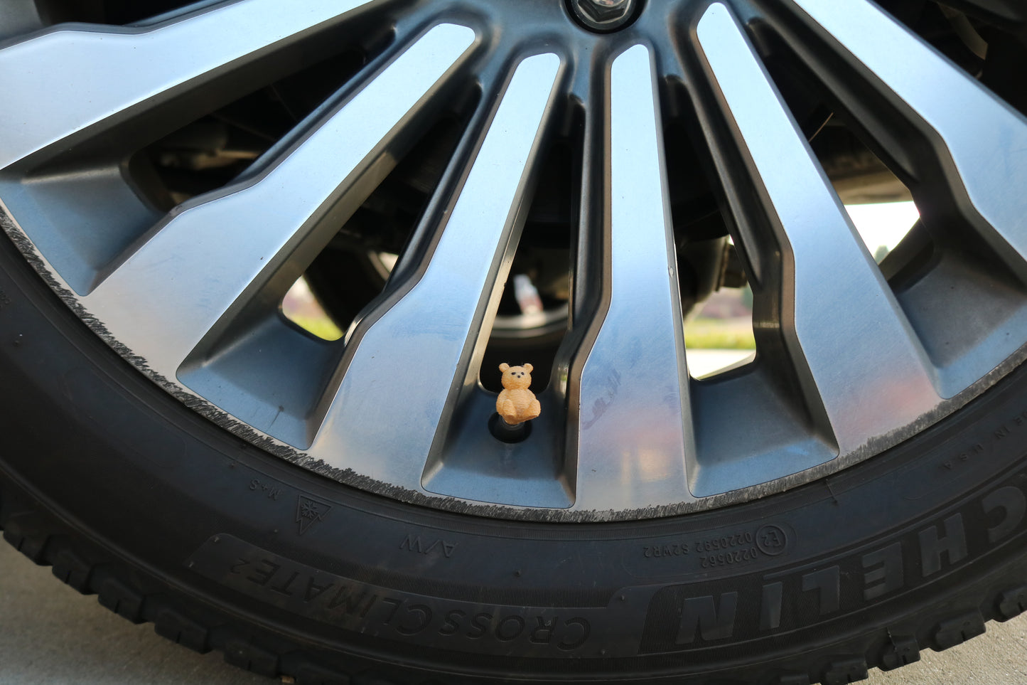Vehicle Cap - Bear