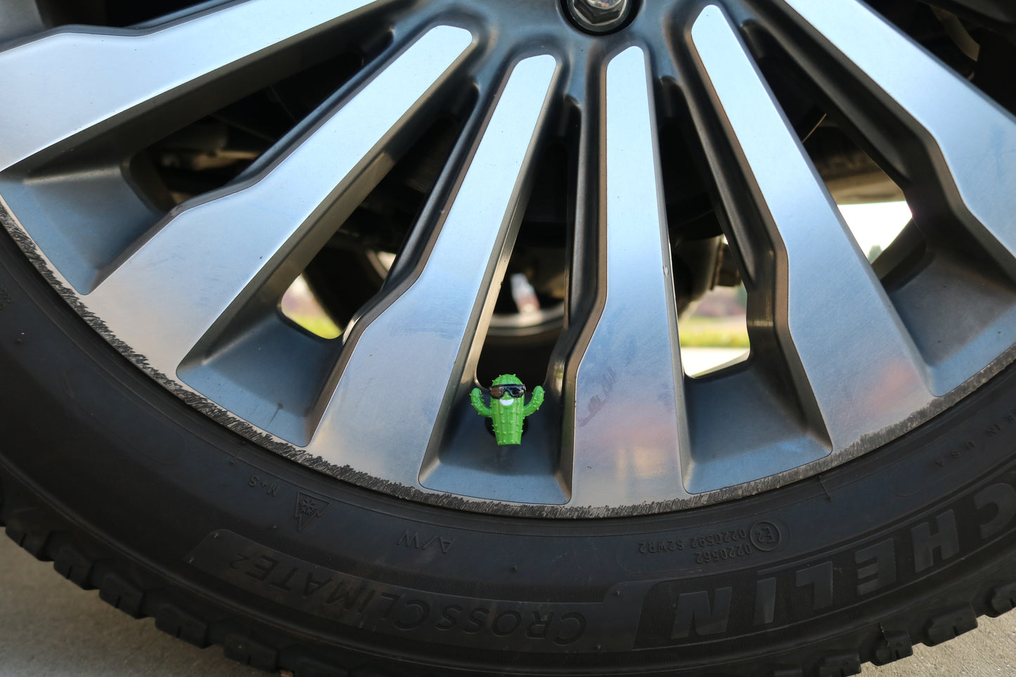 Premium Vehicle Cap - Cactus