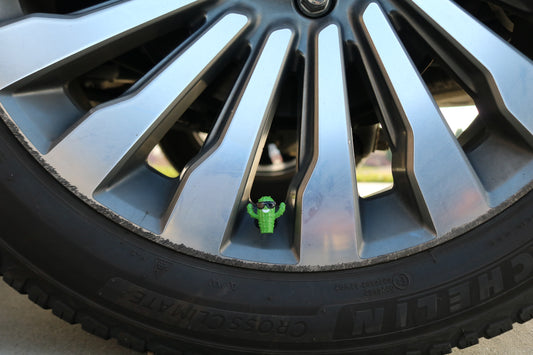 Premium Vehicle Cap - Cactus