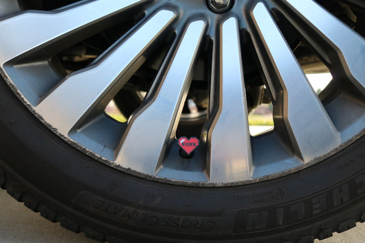 Vehicle Cap - Retro Heart