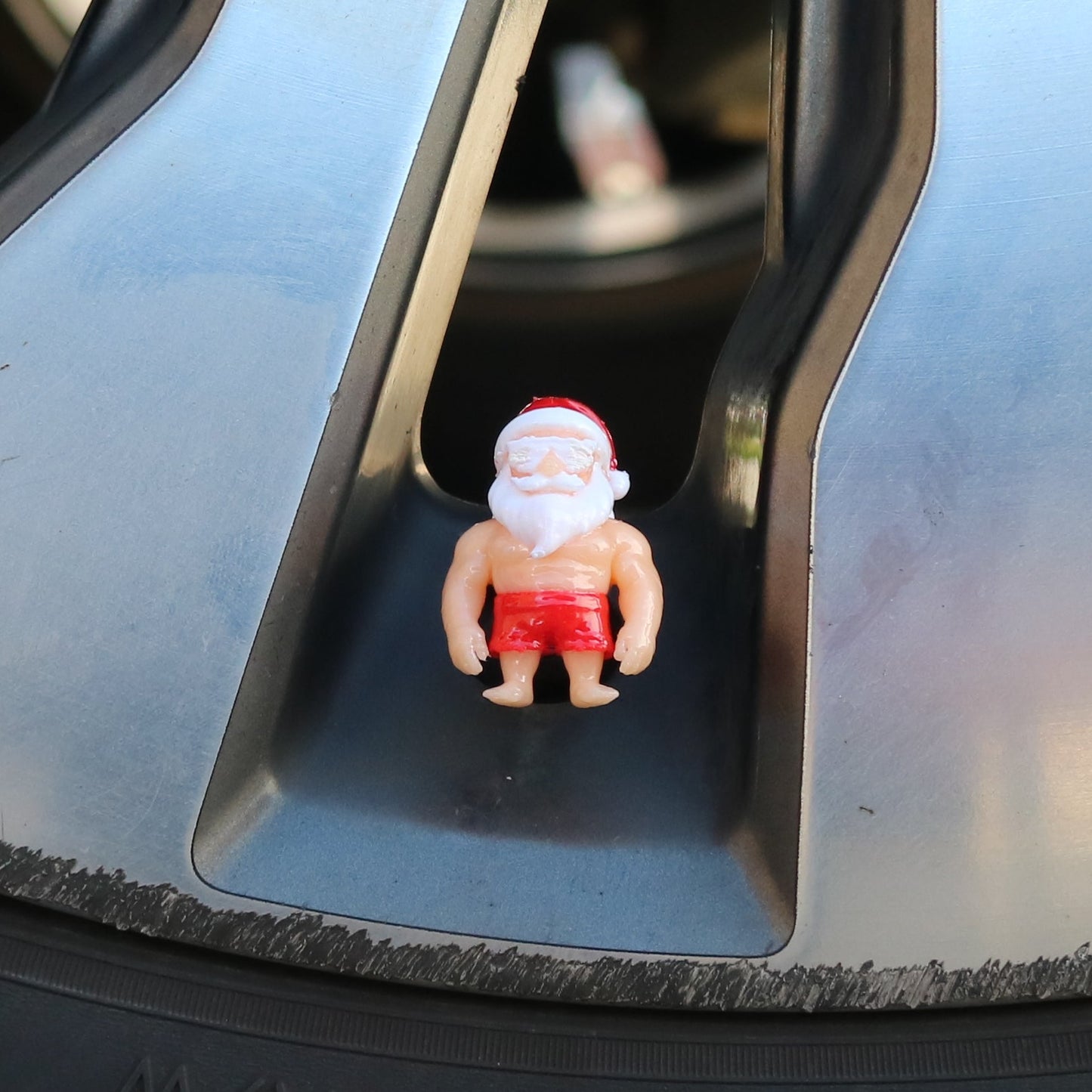 Premium Vehicle Cap - Santa Cruise