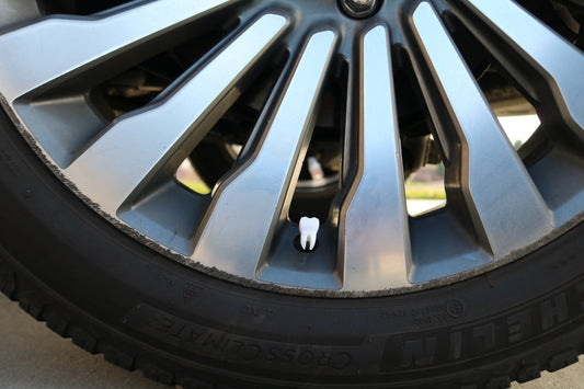 Vehicle Cap - Tooth