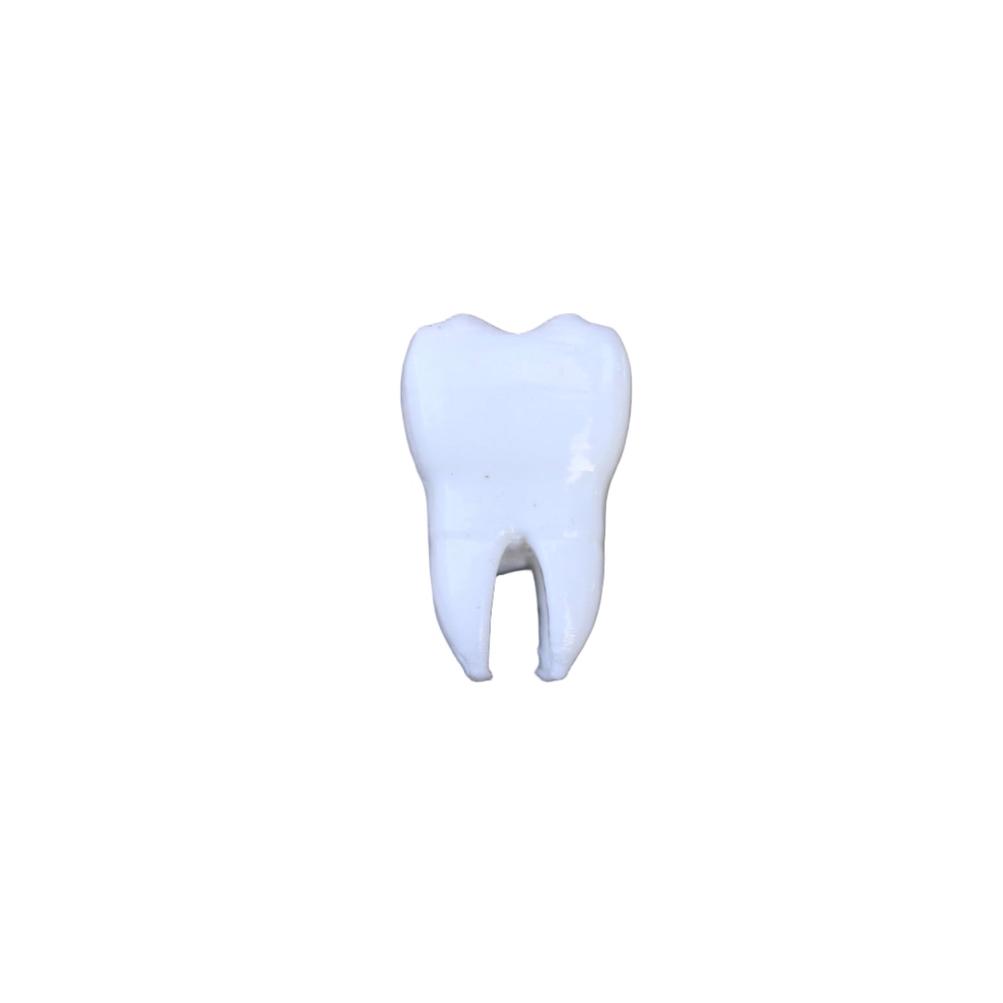 Vehicle Cap - Tooth