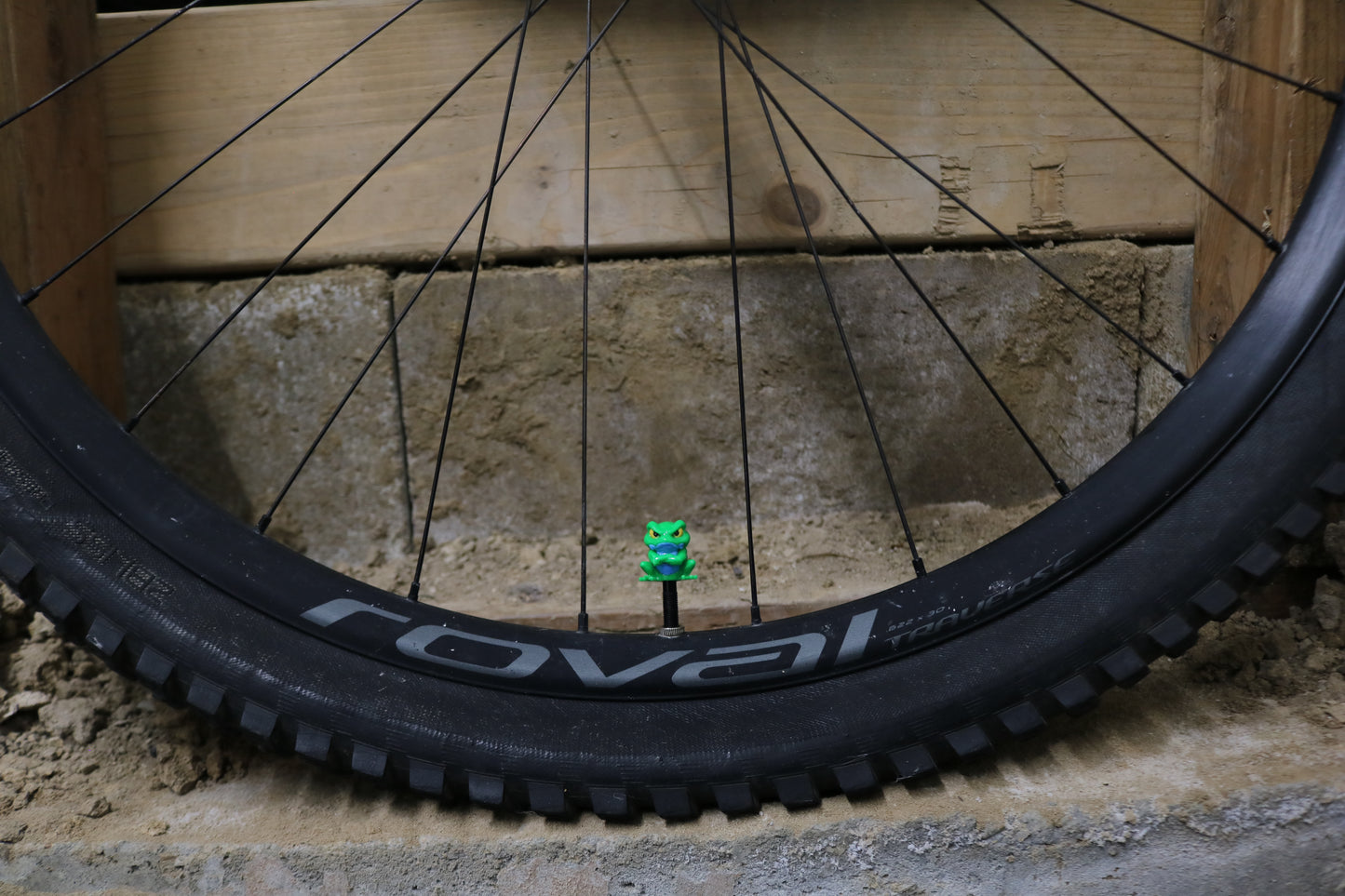 Premium Valve Cap - Tree Frog