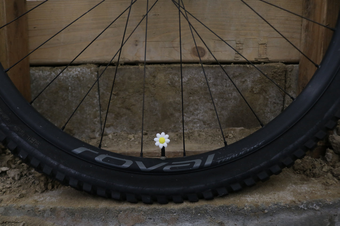 Premium Valve Cap - Daisy