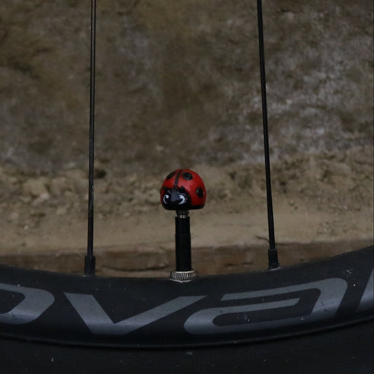 Premium Valve Cap - Lady Bug