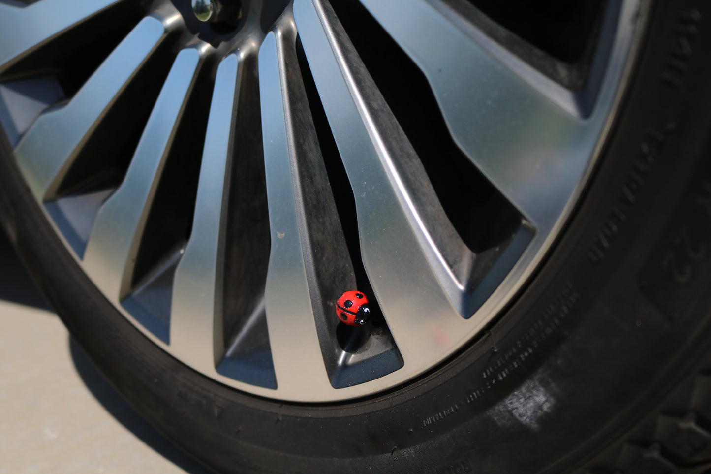 Premium Vehicle Cap - Lady Bug