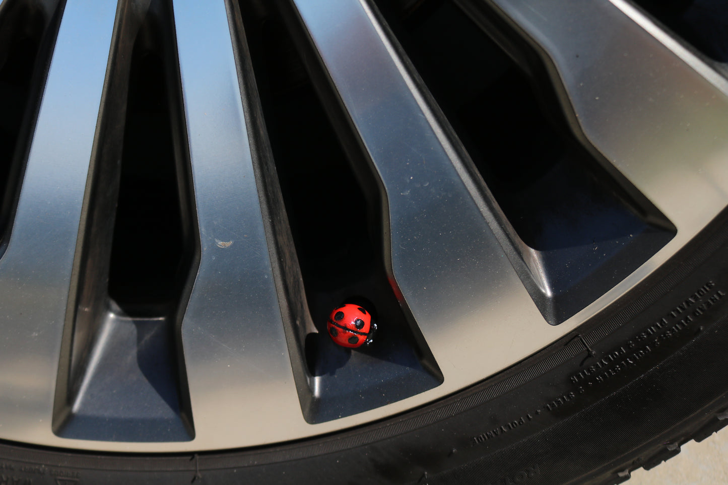 Premium Vehicle Cap - Lady Bug