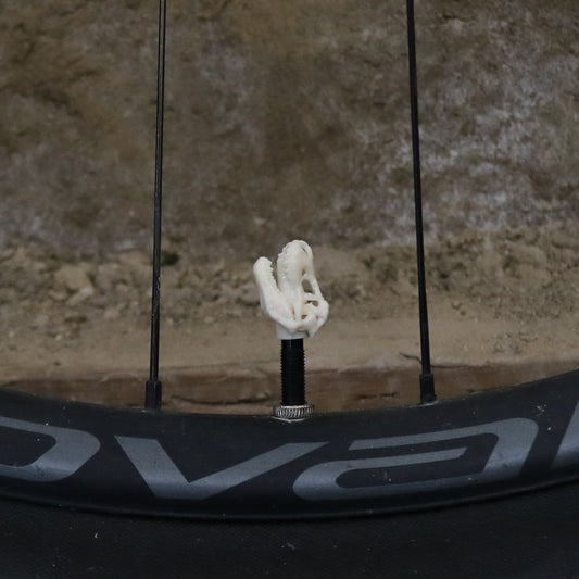 Premium Valve Cap - Dino Skull
