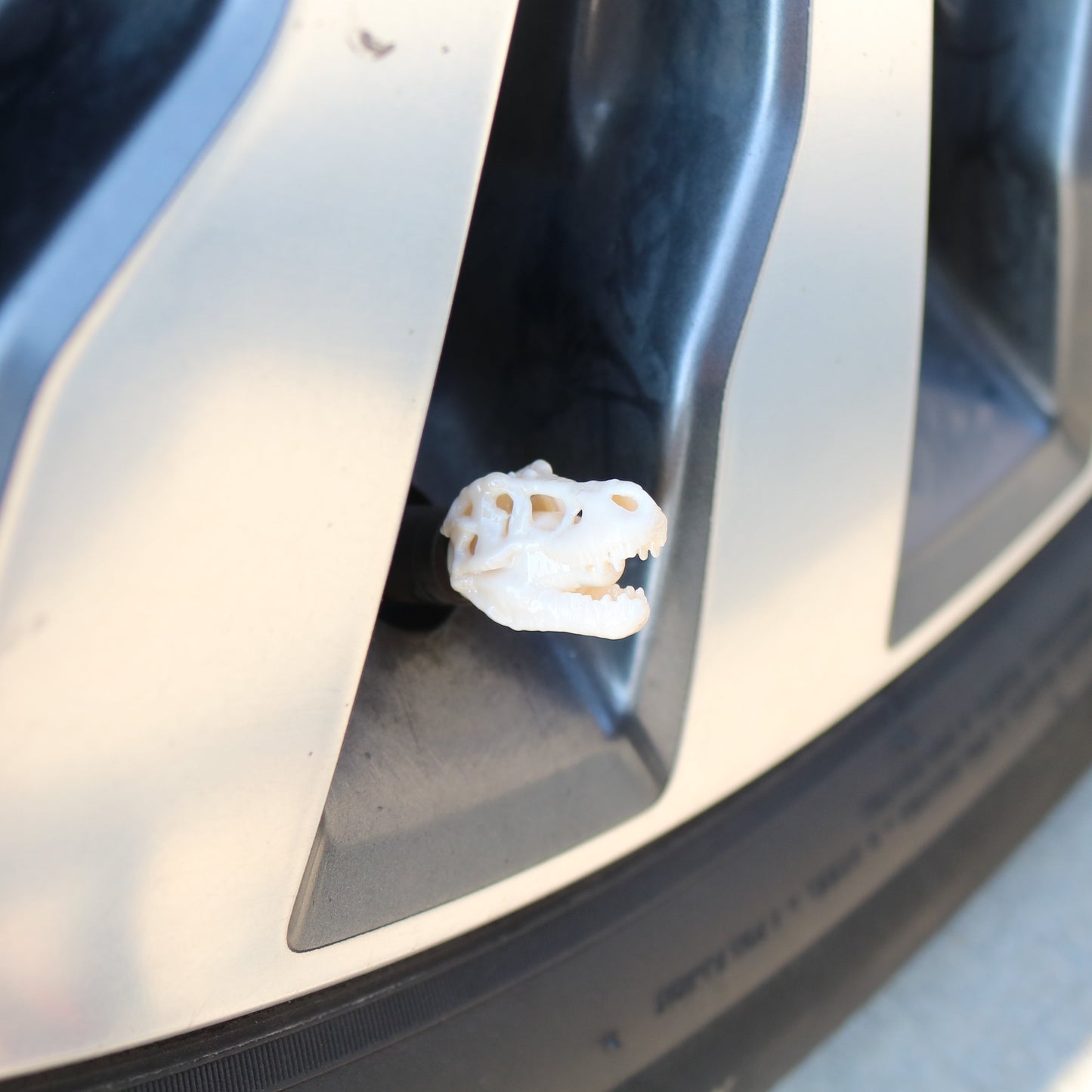Premium Vehicle Cap - Dino Skull