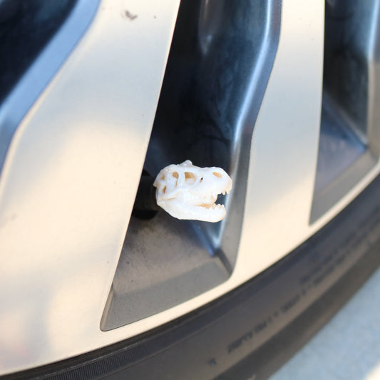 Premium Vehicle Cap - Dino Skull
