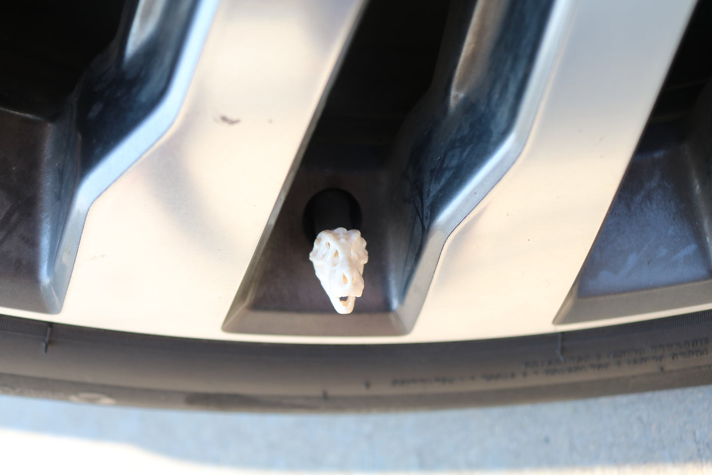 Premium Vehicle Cap - Dino Skull