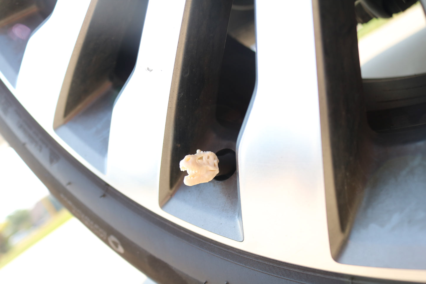 Premium Vehicle Cap - Dino Skull