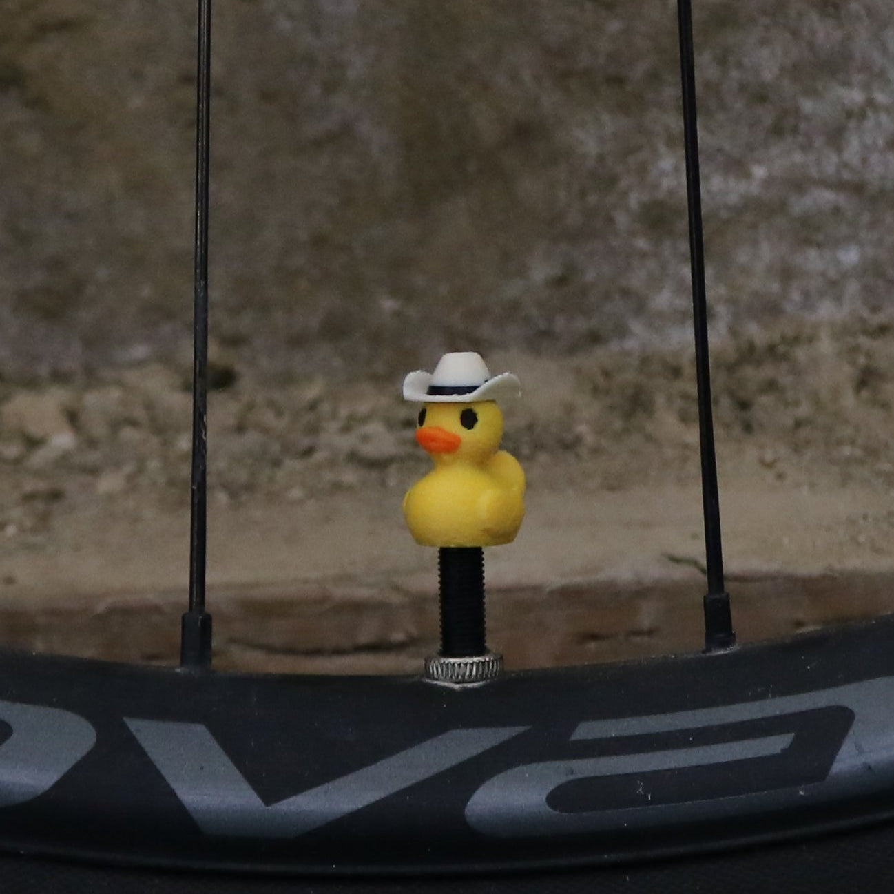 Valve Cap - Colored Ducks