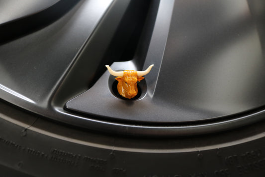 Premium Vehicle Cap - Longhorn