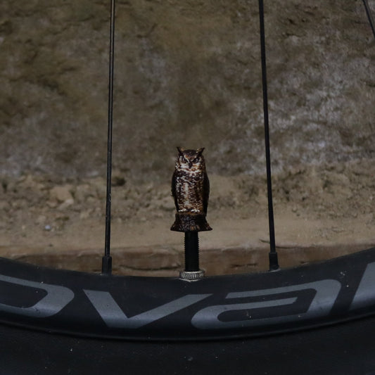 Premium Valve Cap - Owl