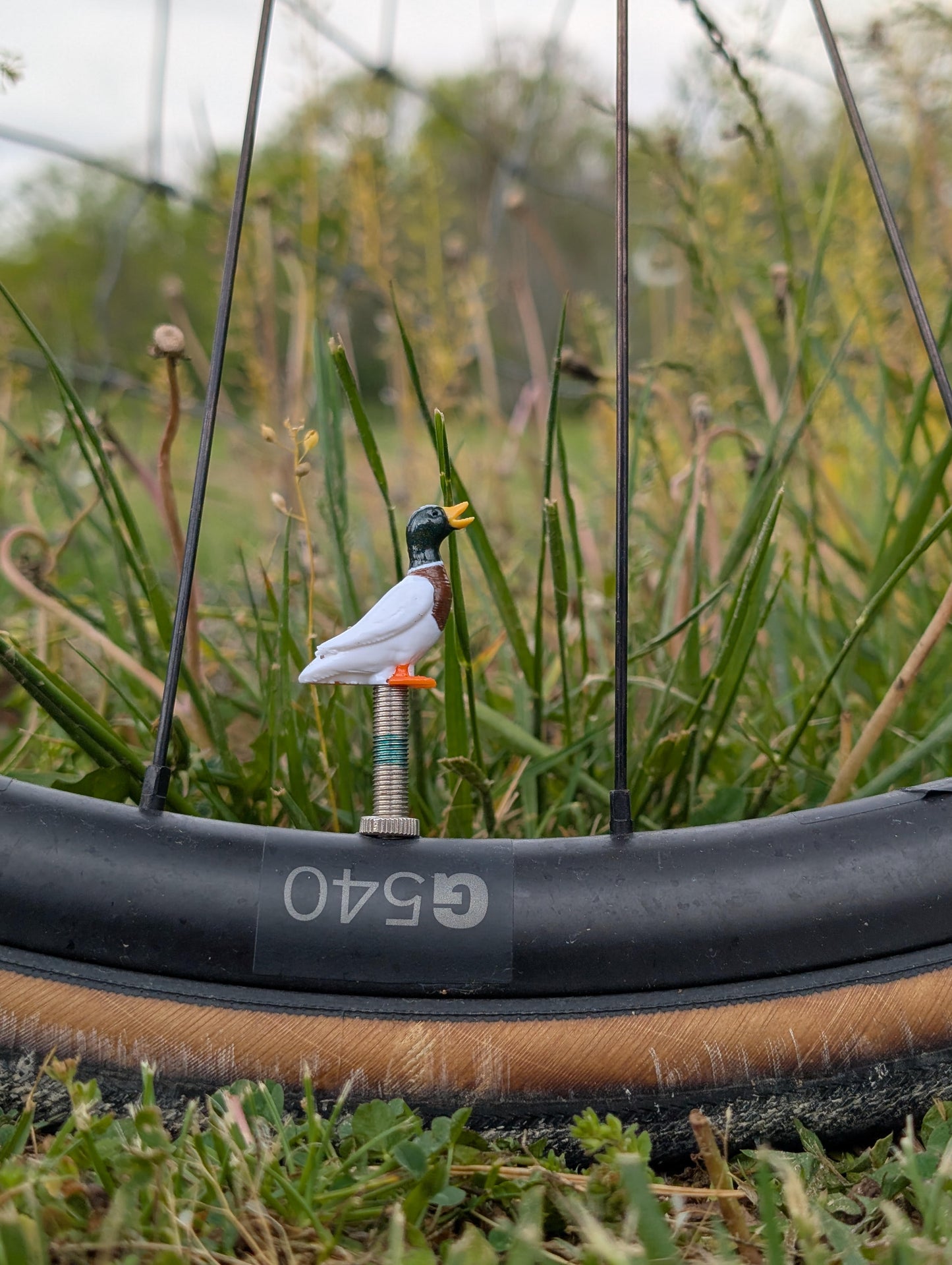 Premium Valve Cap - Mallard